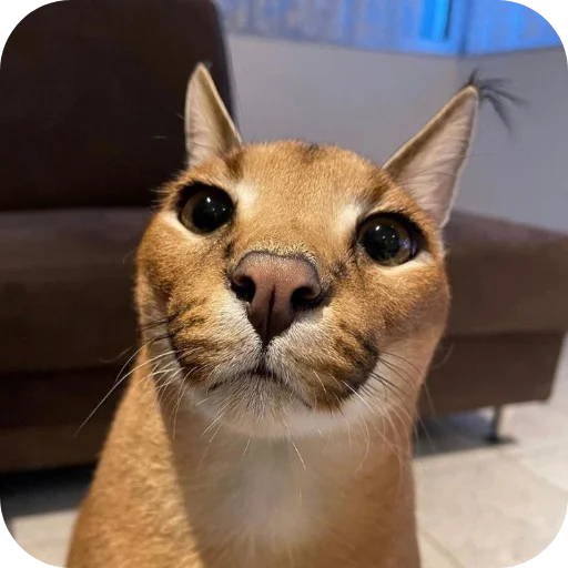 Sticker MrShlipsa - 1