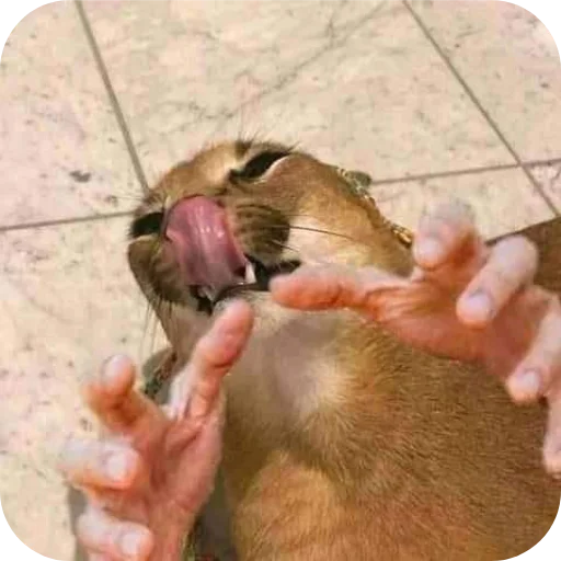 Sticker MrShlipsa - 1