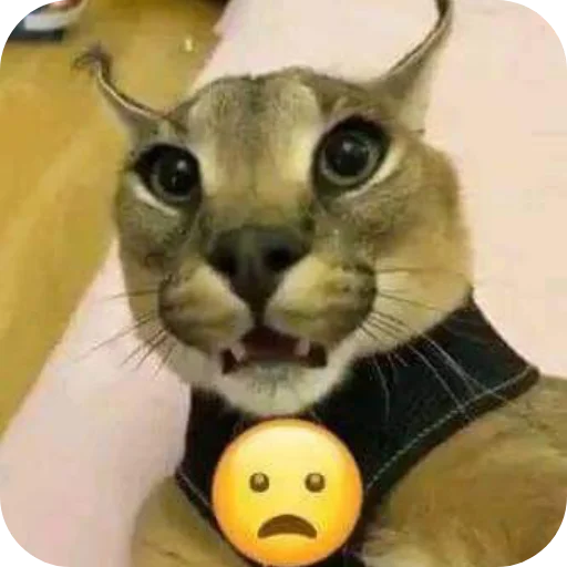 Mr.Shlipsa автор-Oskov_ru - 