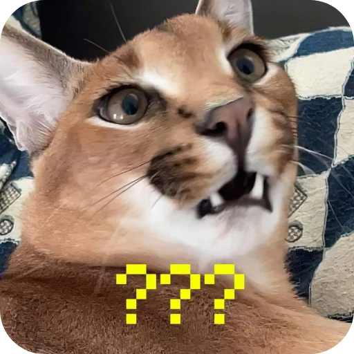 Sticker MrShlipsa - 1