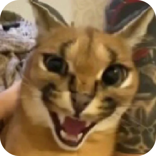 Sticker MrShlipsa - 1