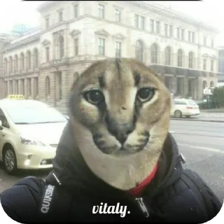 Sticker Mr.Shlipsa автор-Oskov_ru - 11