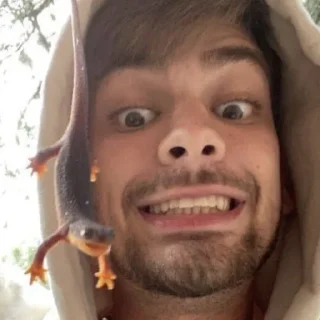 Sticker мстр бист - 9