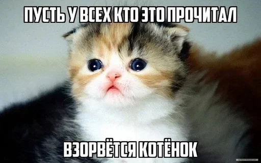 Sticker MrfQlhtu_by_stickers_stealer_bot - 1