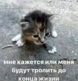 Стикер Больше стикеров: @sticerru - 3