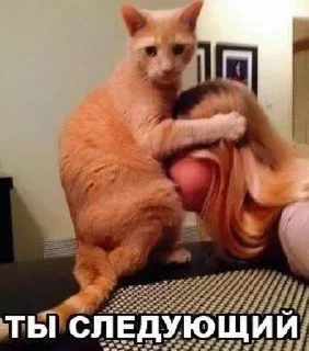 Стикер Больше стикеров: @sticerru - 6