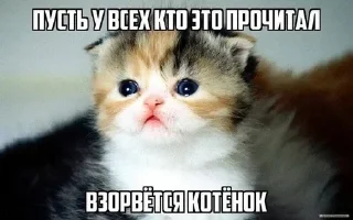 Стикер Больше стикеров: @sticerru - 0