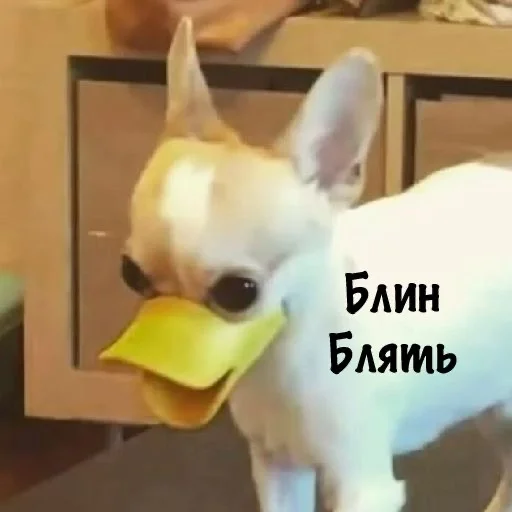 Sticker MRMRZ by @fStikBot - 1