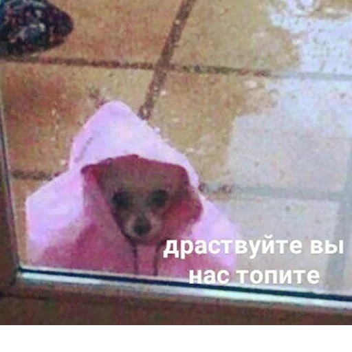 Sticker MRMRZ by @fStikBot - 0