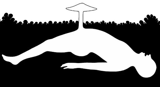 Стикер Mrzyk&Moriceau - 9