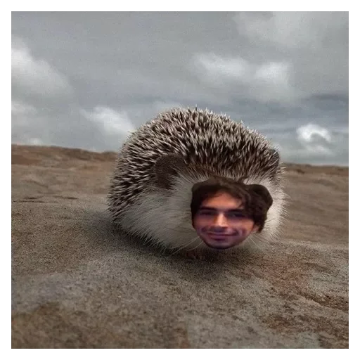 Стикер MsiPrablemetekeVnkrL - 1