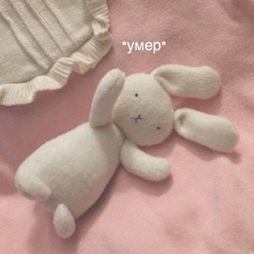 fabric clothing teddy