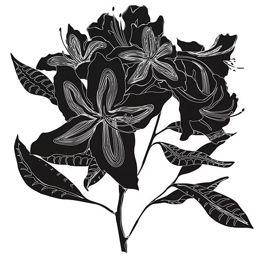 эскиз рисование цветок