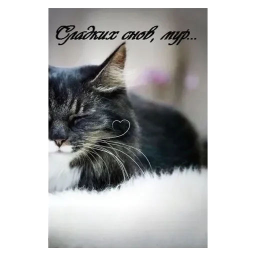 Стикер Mult256 - 1