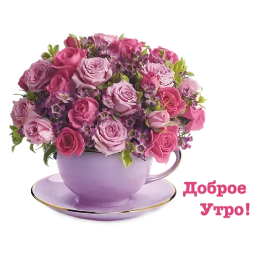 Стикер Mult256 - 1