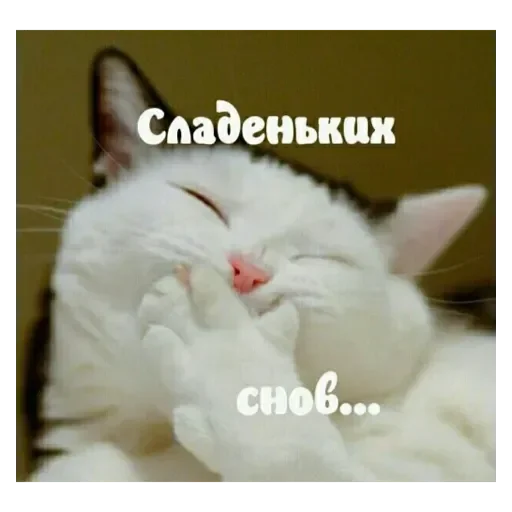 Стикер Mult256 - 1