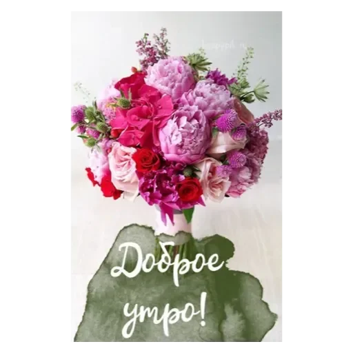 Стикер Mult256 - 1