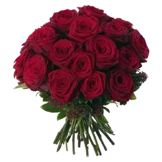 Стикер Мульт - 0