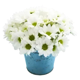 Стикер Мульт - 7