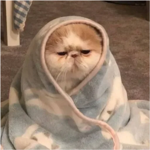 Стикер Mult524 - 1