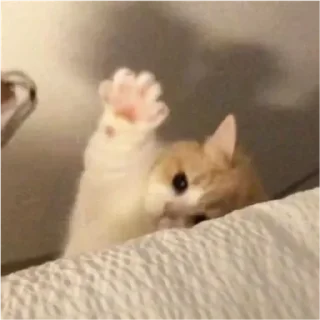 Стикер Мульт - 7