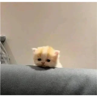 Стикер Мульт - 2