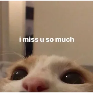 Стикер Мульт - 0