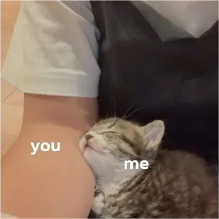 Стикер Мульт - 8