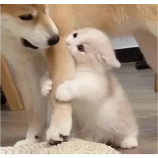 Стикер Мульт - 1