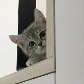 Стикер Мульт - 9