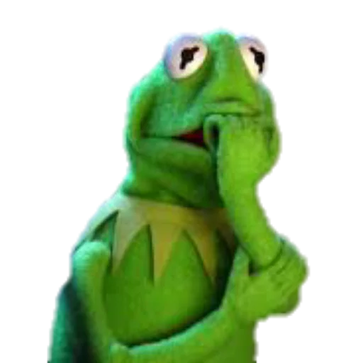 frog amphibian true frog