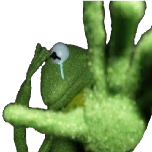 green aquarium animal