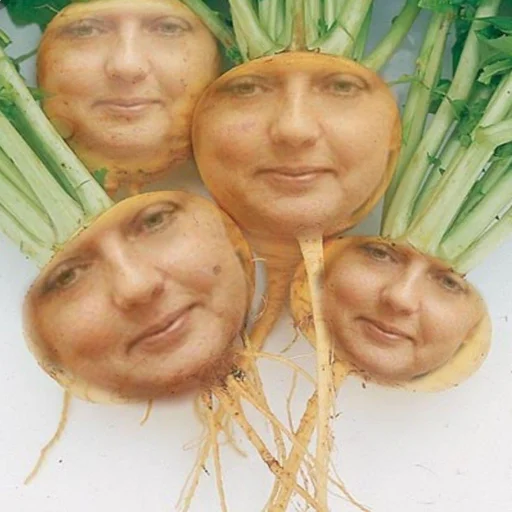 vegetable human face root vegetable
