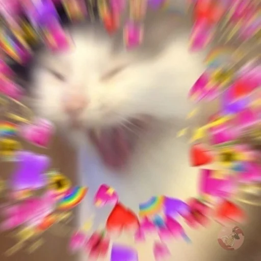 пусть будет мяу - 