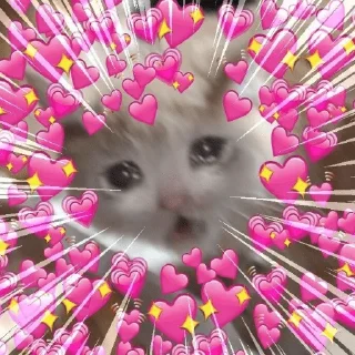 Стикер пусть будет мяу - 7