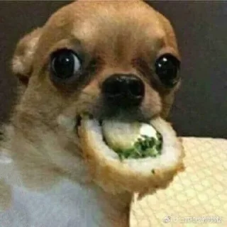 Стикер пусть будет мяу - 6