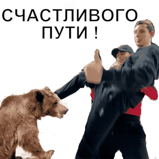 медведь одежда Человек