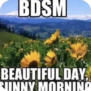 Стикер Murka stickers - 1