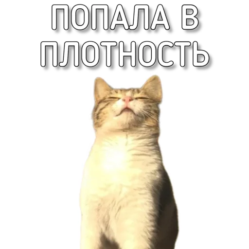 Sticker Murknitka - 1