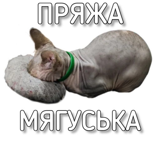 Sticker Murknitka - 1