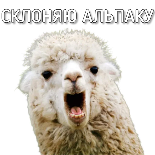 Sticker Murknitka - 1