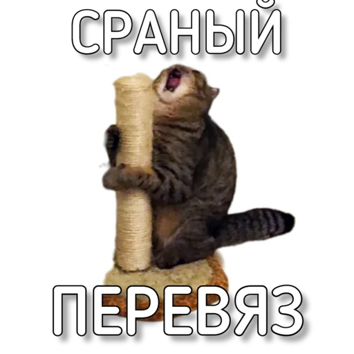 Sticker Murknitka - 1