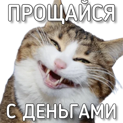 Sticker Murknitka - 1