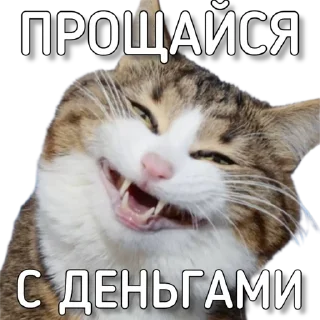 Стикер Murknitka чатик - 3