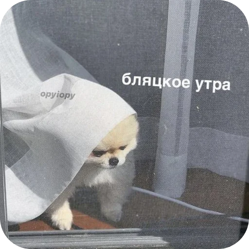 Стикер MurmaedPiton - 1