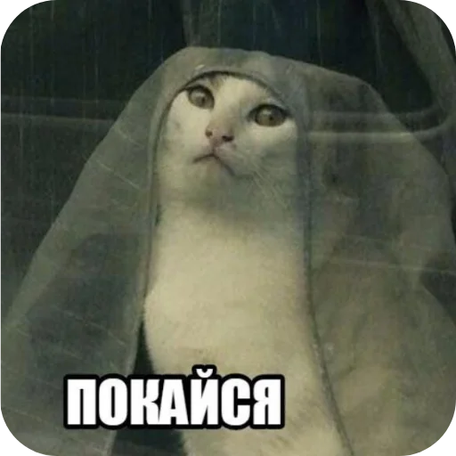 Стикер MurmaedPiton - 1