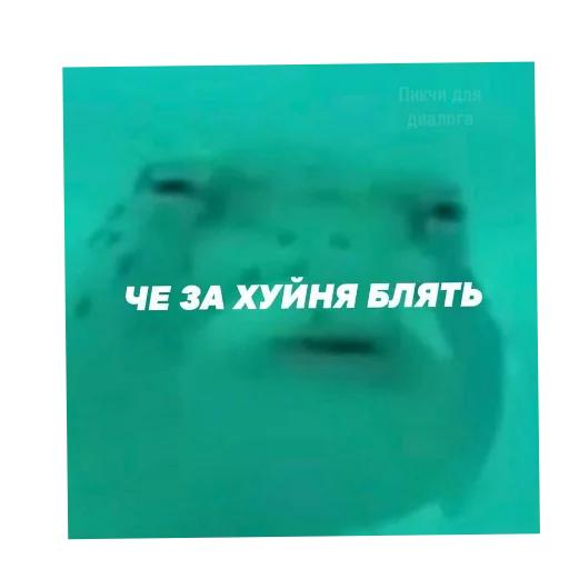 Sticker MurmaedPiton - 1