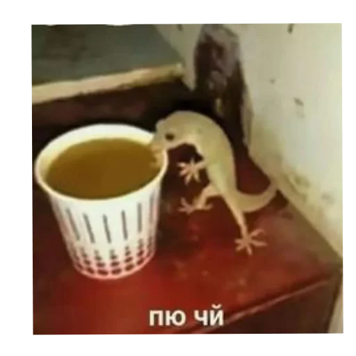 Sticker MurmaedPiton - 1