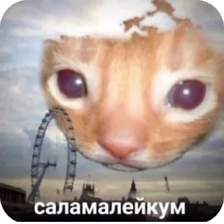 Sticker Мурмаед питон - 7