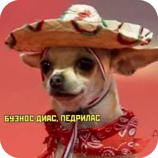 Sticker Мурмаед питон - 10